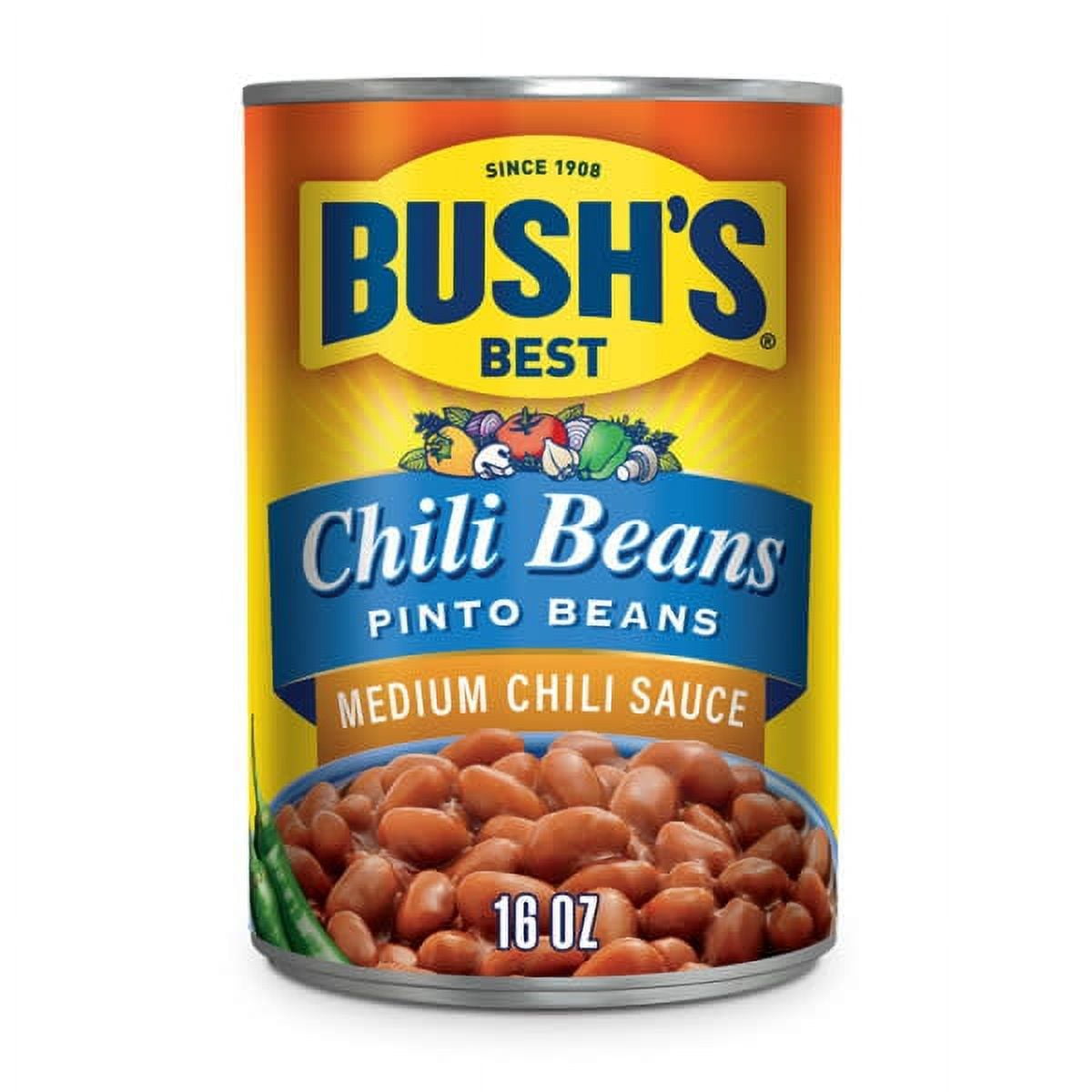 Bush's Chili Beans, Canned Pinto Beans in Medium Chili Sauce, 16 oz Can