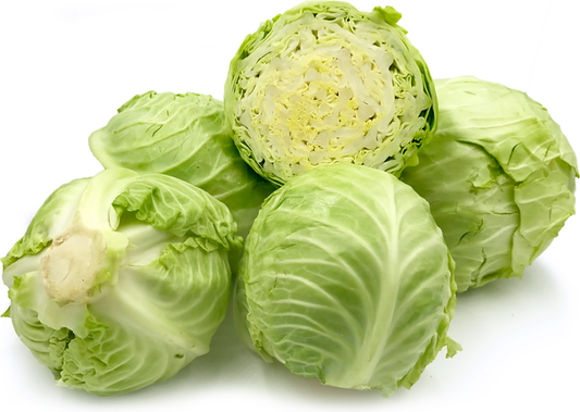 Cabbage