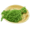 Dill Leaves
