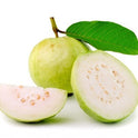 Guava