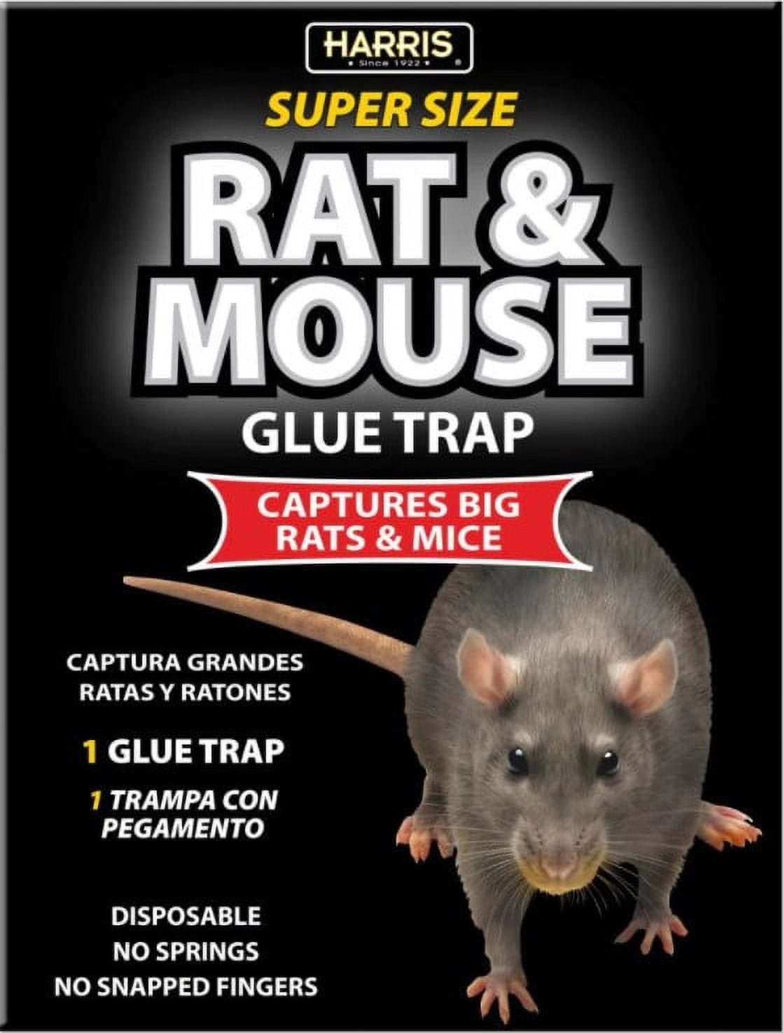 Harris Super-Size Rat and Mouse Glue Trap with Lure, 1 Trap