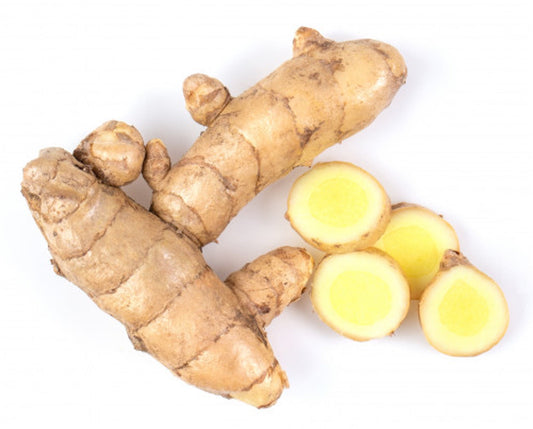 White Turmeric