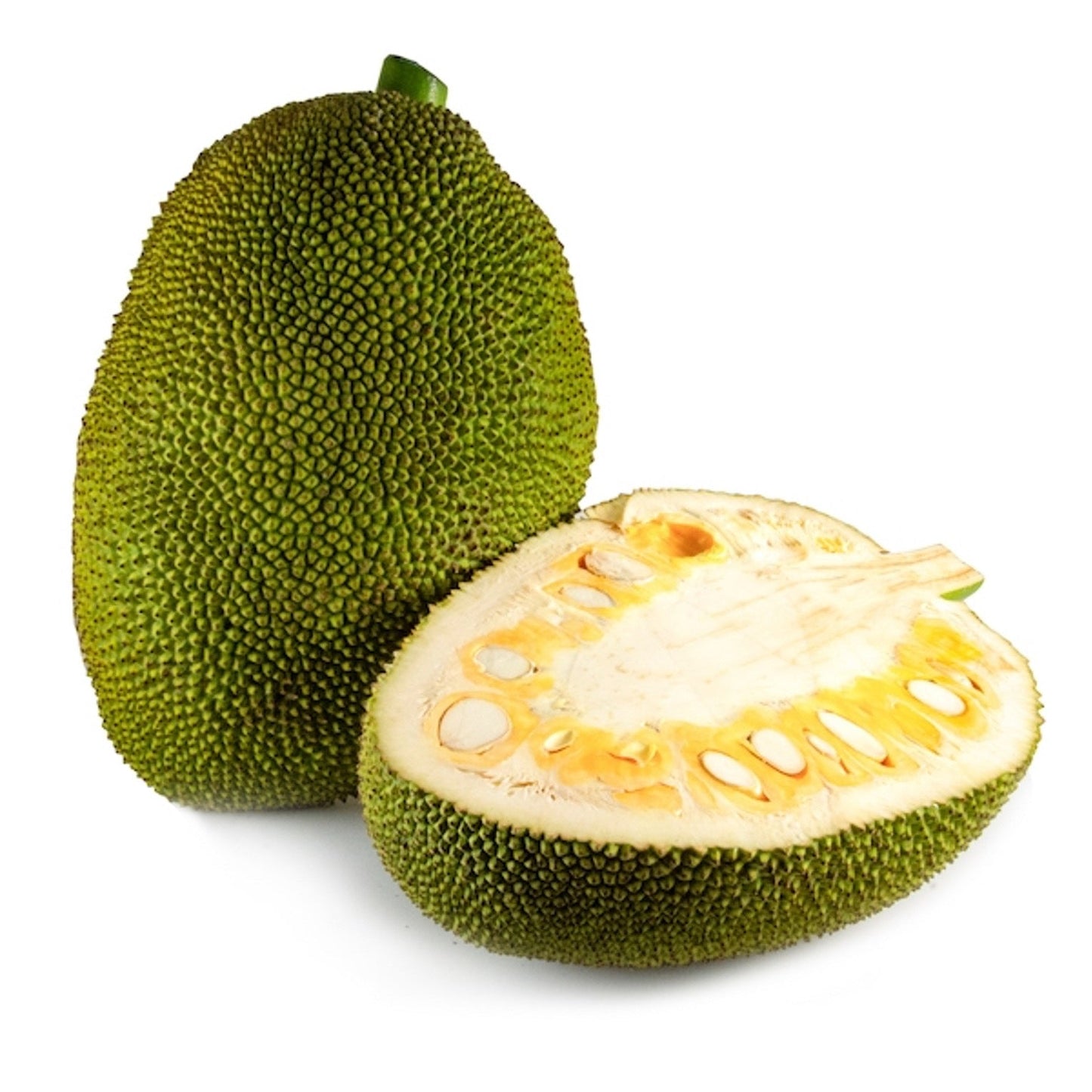 Green Jackfruit