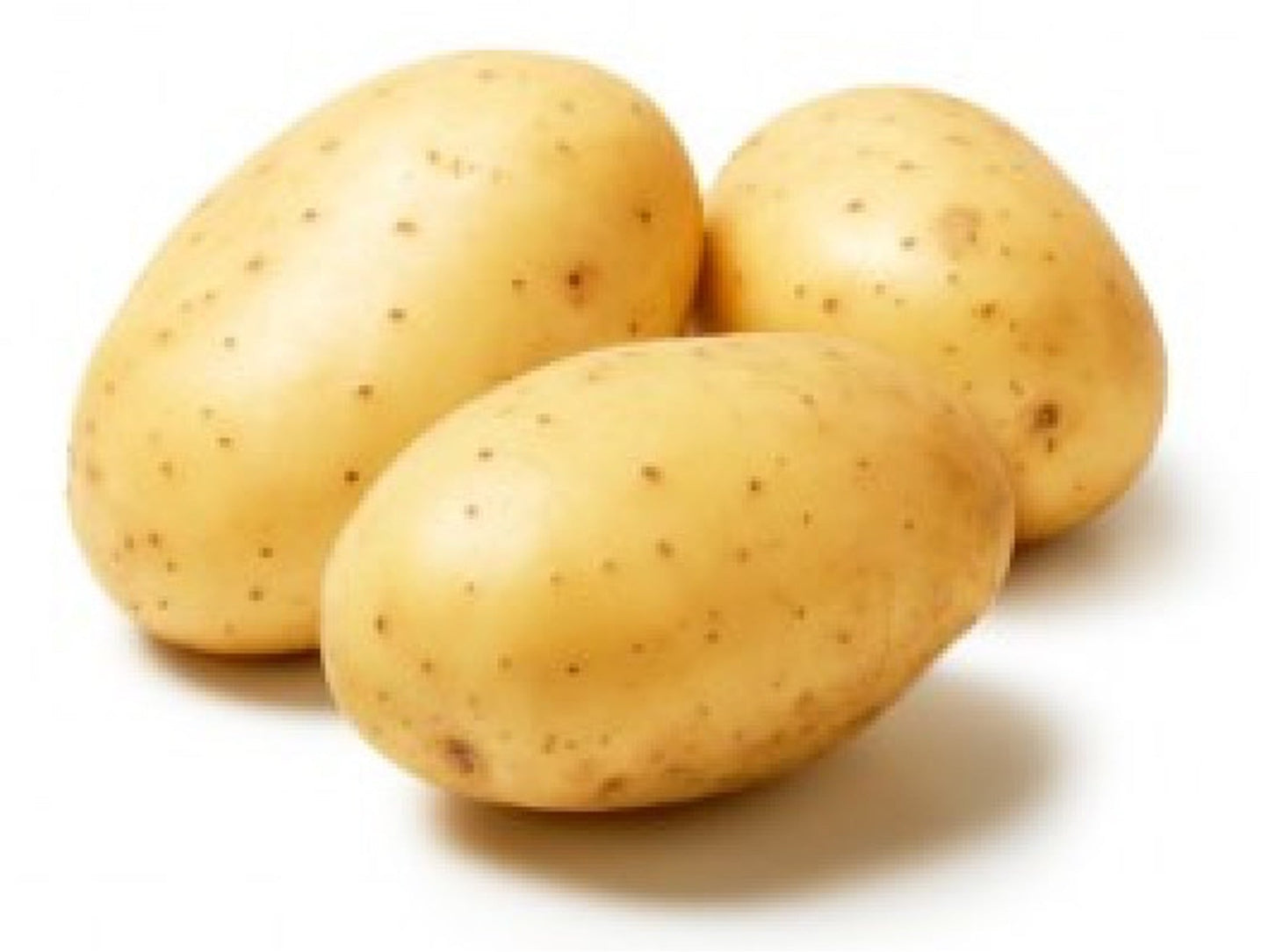 Potato