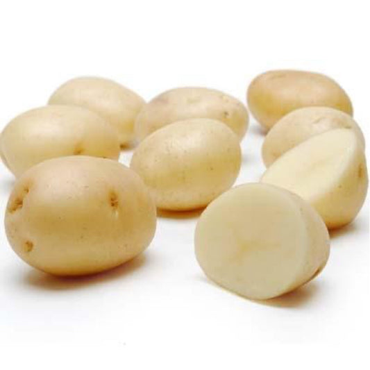 Small White Potato