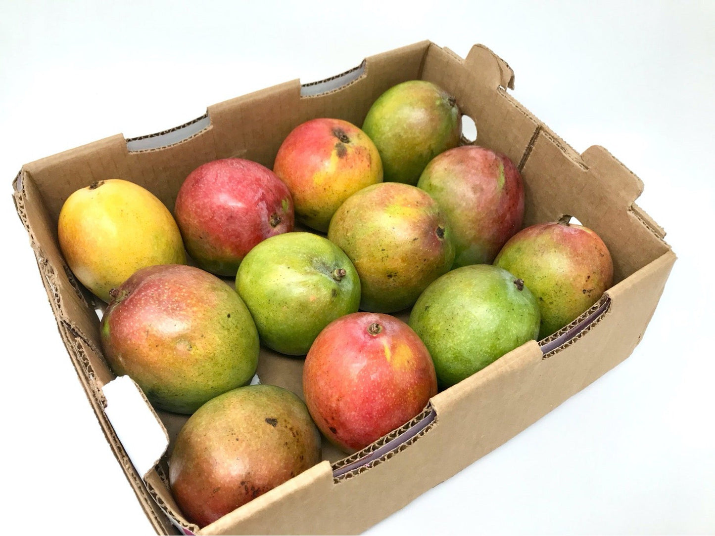 Hayden/Kent Mango Box