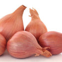 Shallot Onions Bag