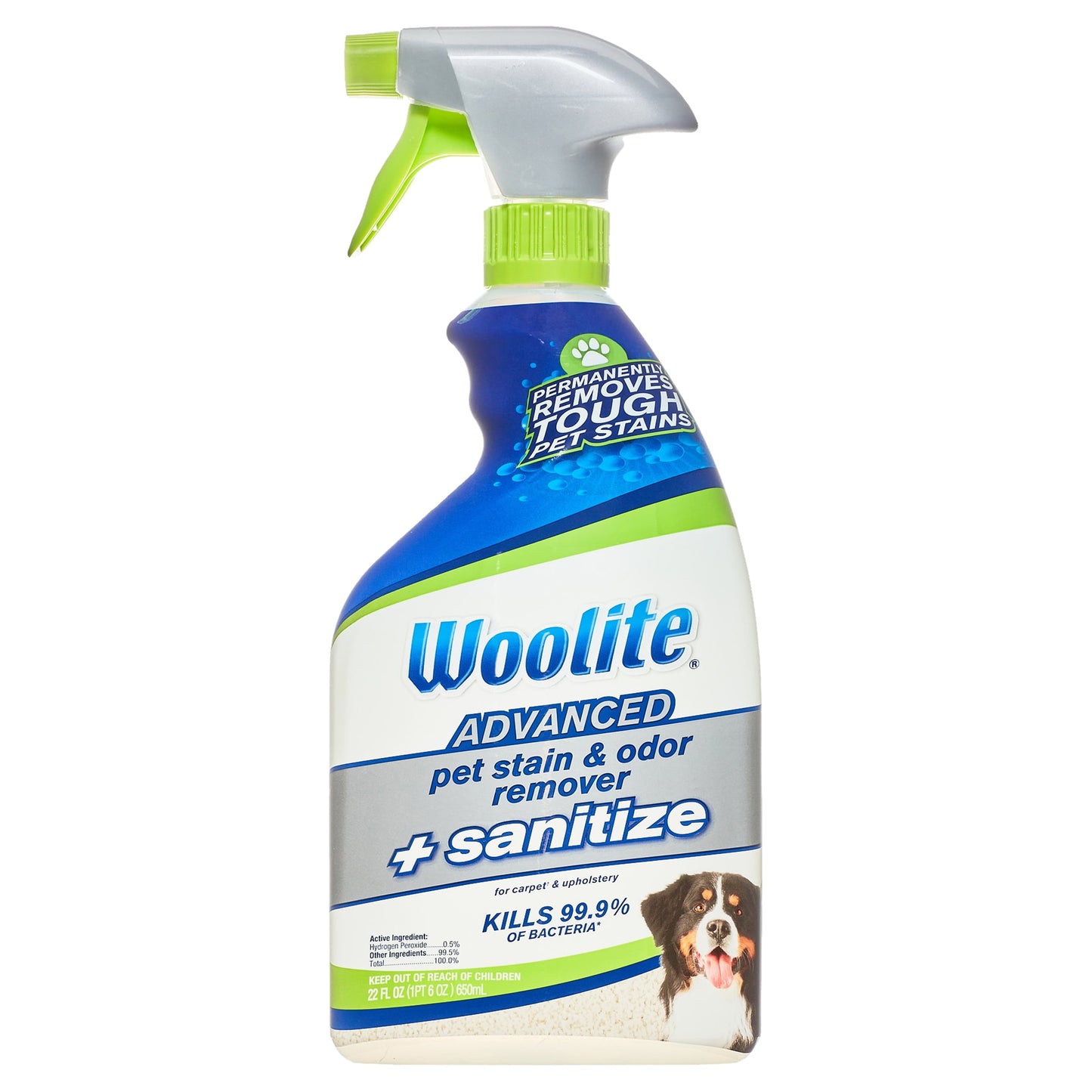 Woolite Advanced Pet Stain & Odor Remover + Sanitize, 22 oz., 11521