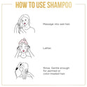 Pantene Pro-V Smooth and Sleek Shampoo, 27.7 fl oz