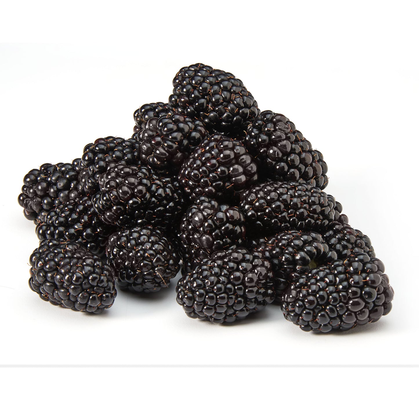 Fresh Blackberries, 6 oz Container