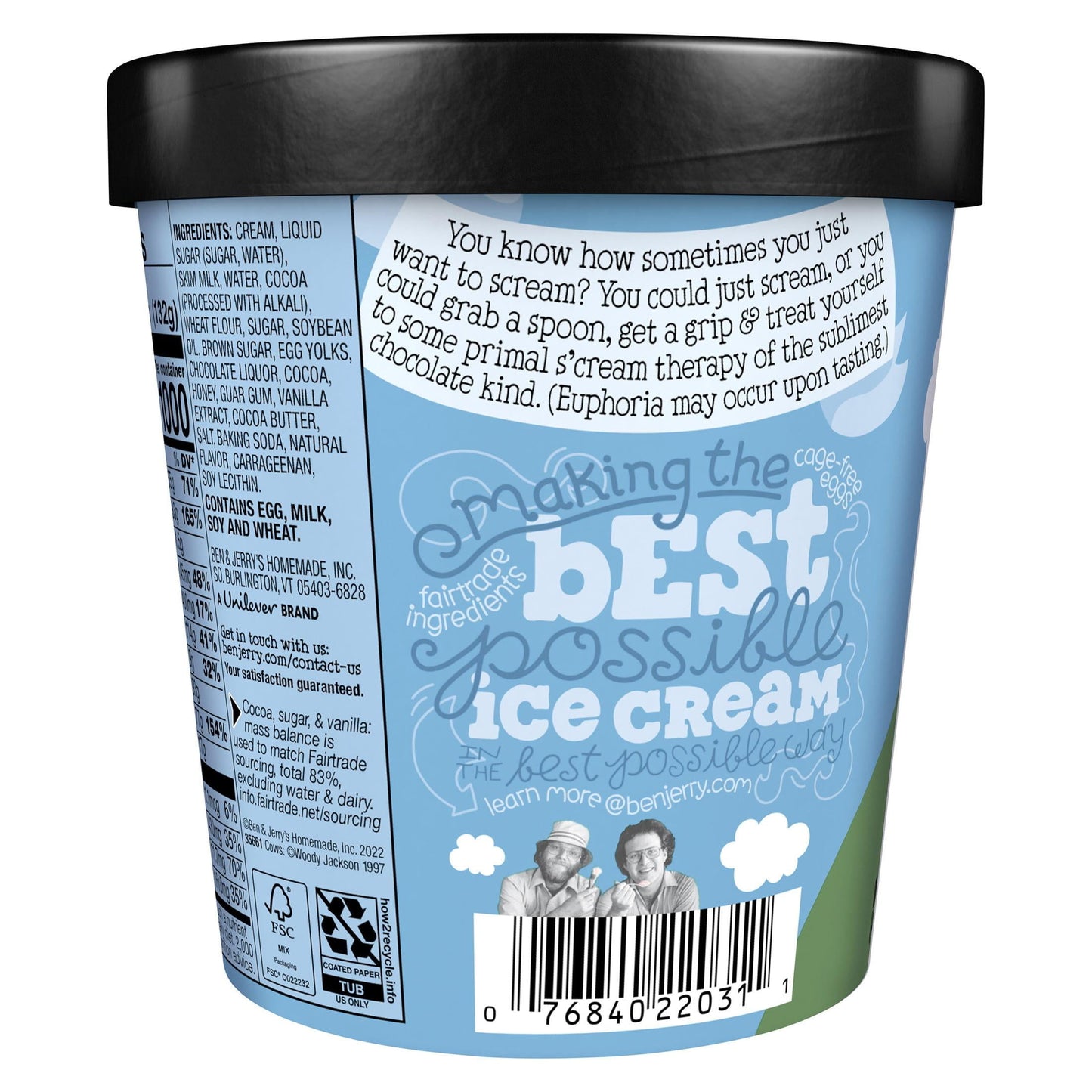 Ben & Jerry's Chocolate Fudge Brownie Ice Cream, 16 oz