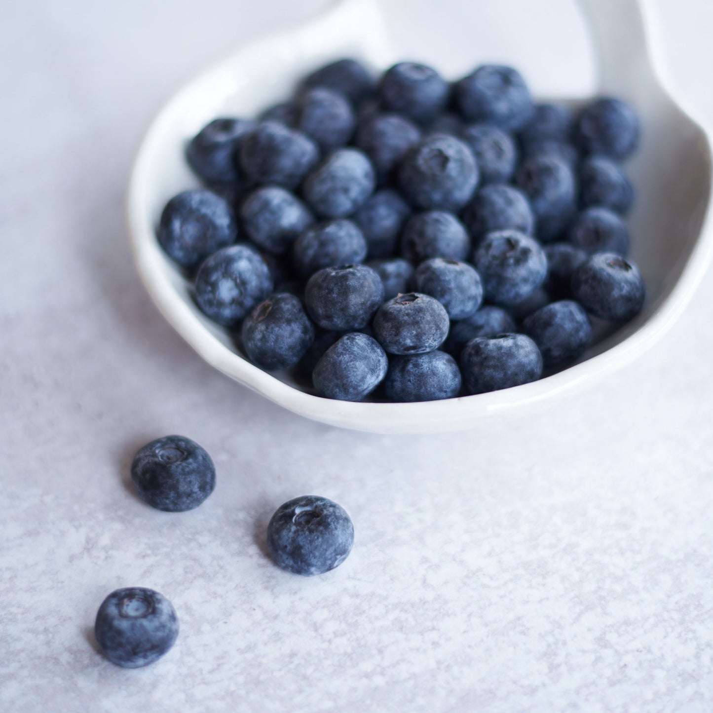 Fresh Blueberries, 18 oz Container