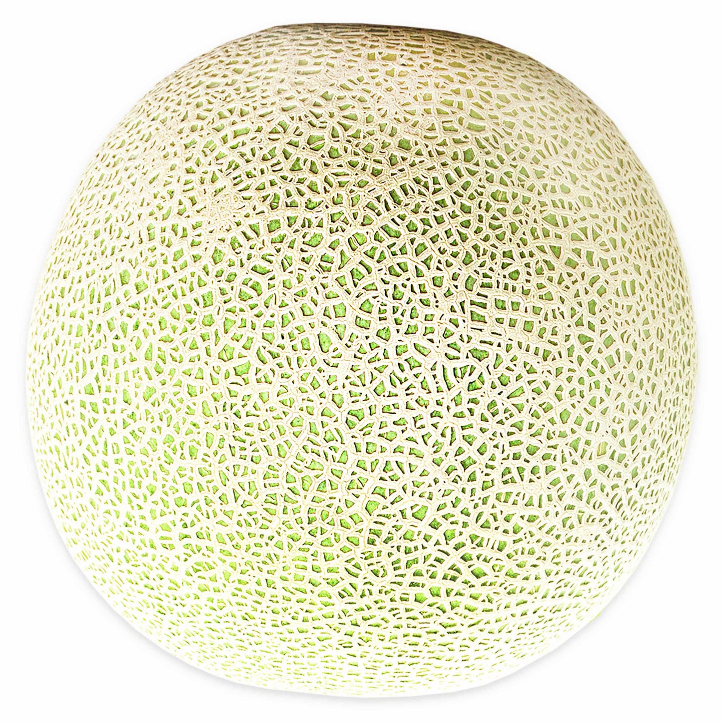 Fresh Cantaloupe, Each