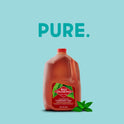 Red Diamond Fresh Brewed Unsweet Iced Tea, 1 Gallon