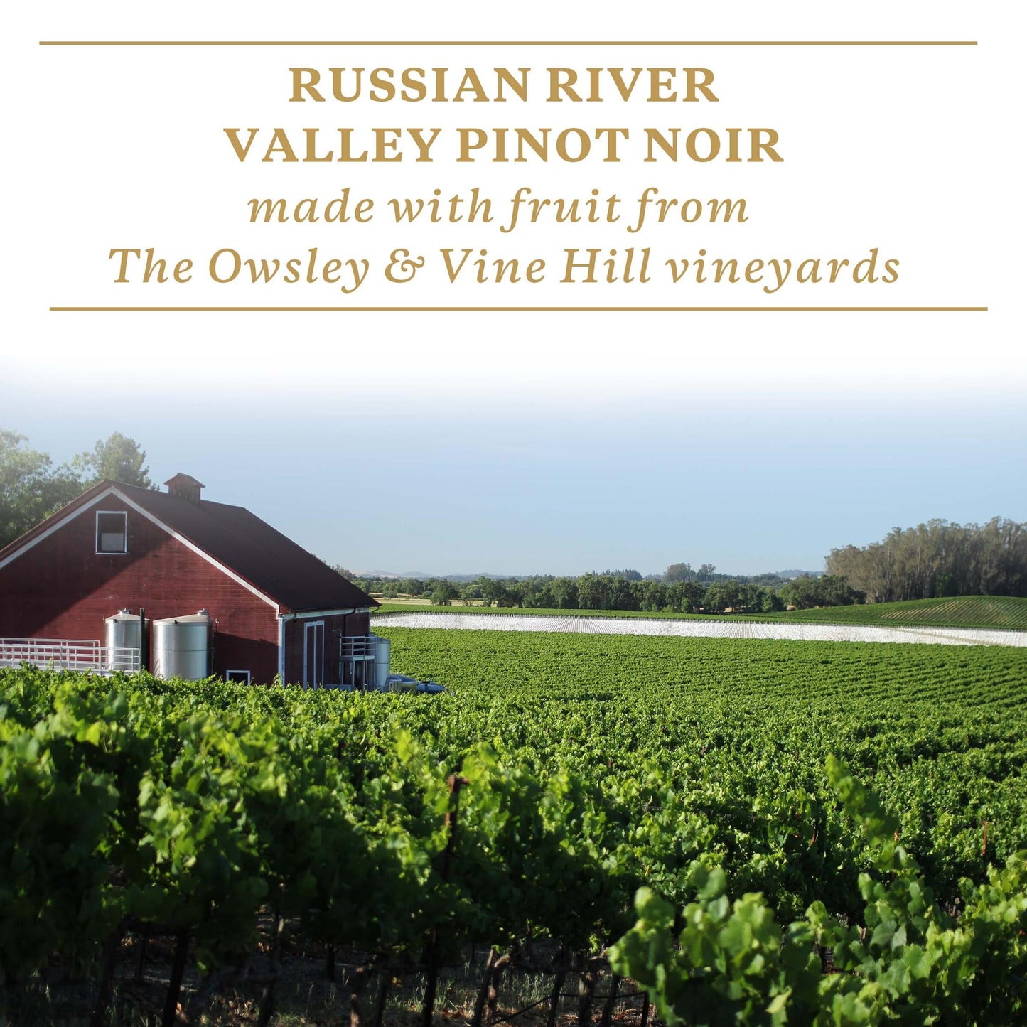 Sonoma-Cutrer Russian River Valley Pinot Noir Dry Red Wine 2019, 750 mL Bottle, 27.8 Proof