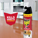 Raid Defend Ant and Roach Killer, Insect Killer Spray, Fragrance-Free, 20 oz, 2 Count