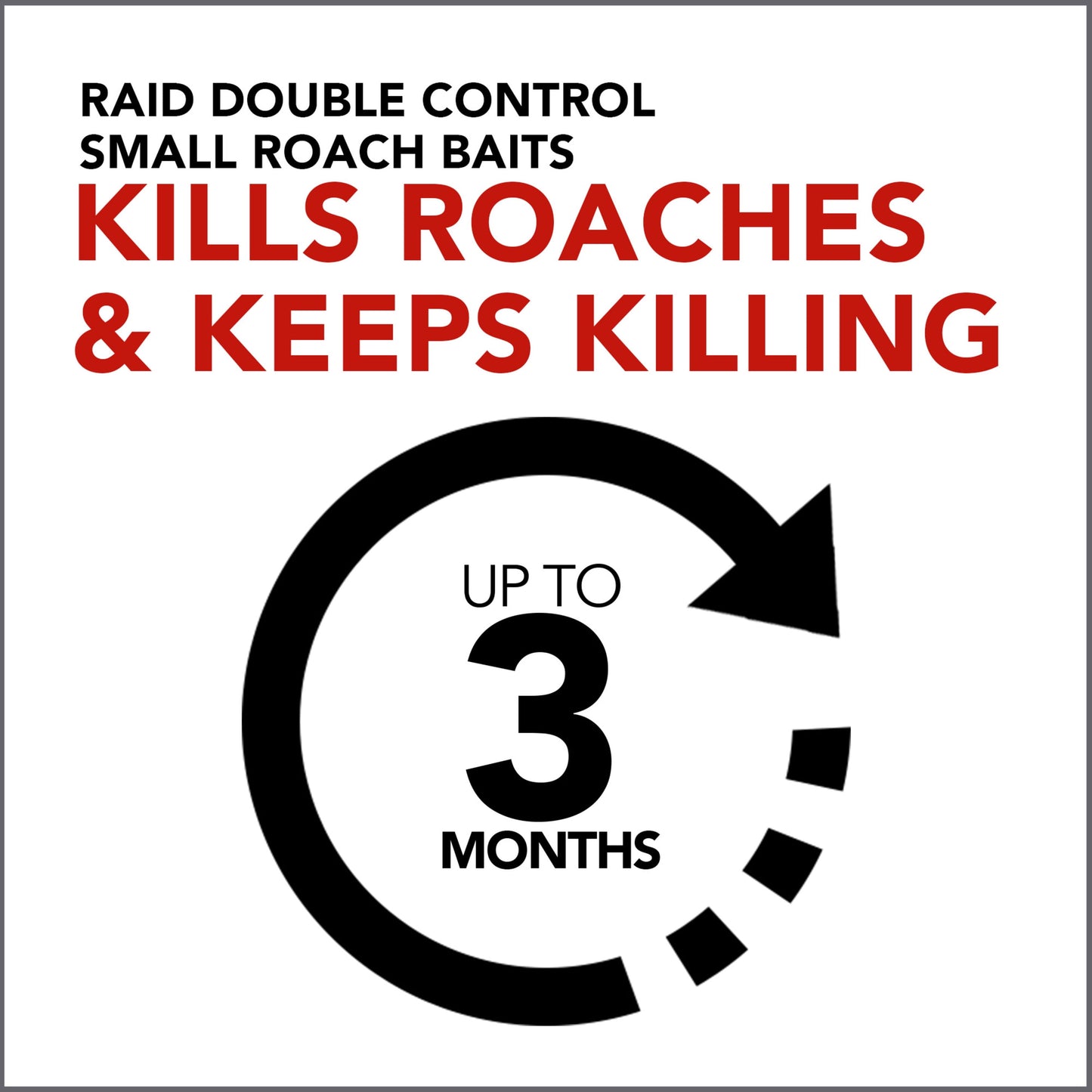 Raid® Double Control Small Roach Baits Plus Egg Stoppers for Cockroaches, 12 ct & 3 ct