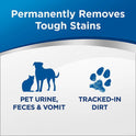 Woolite Advanced Pet Stain & Odor Remover + Sanitize, 22 oz., 11521