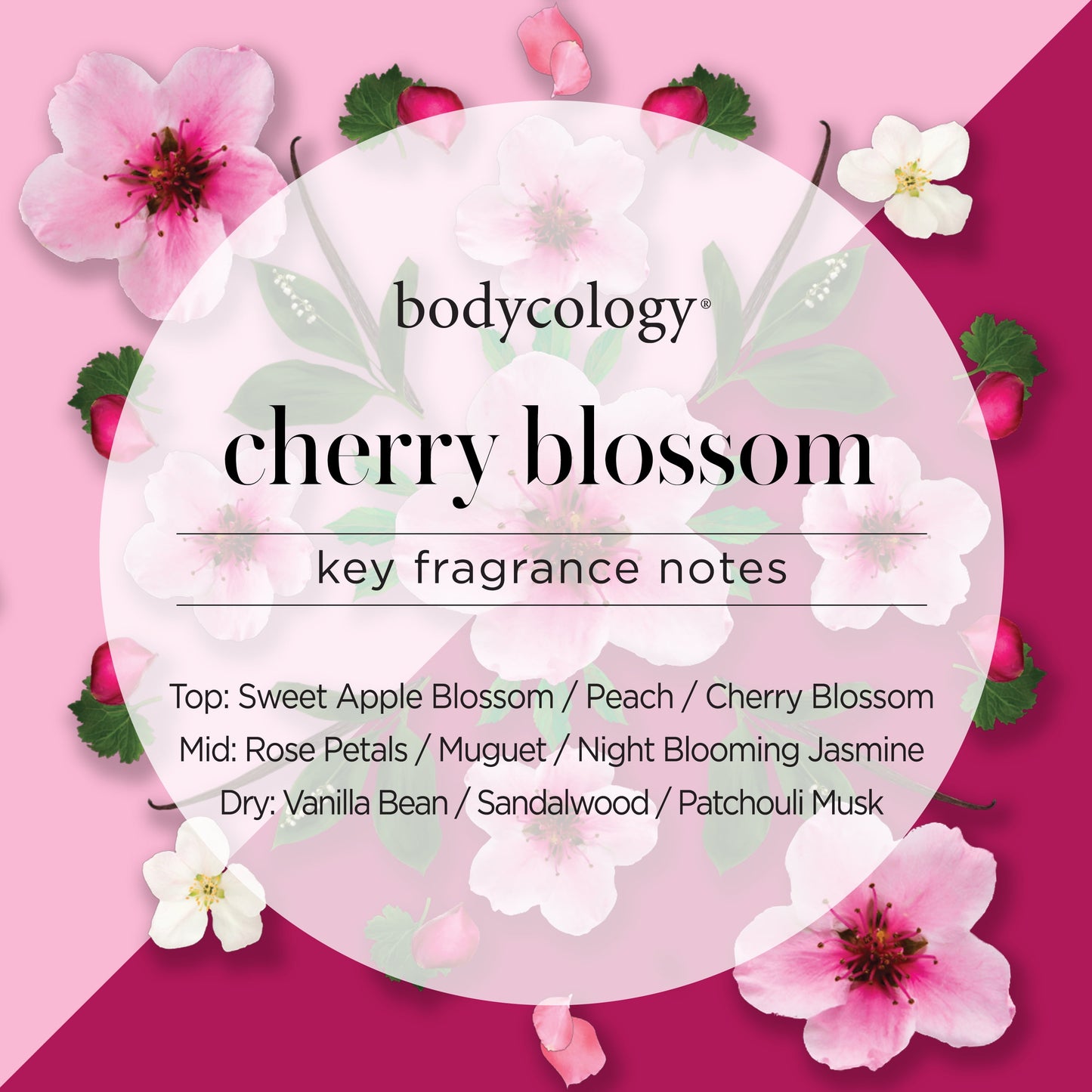 Bodycology Moisturizing Body Cream, Cherry Blossom, 8 oz