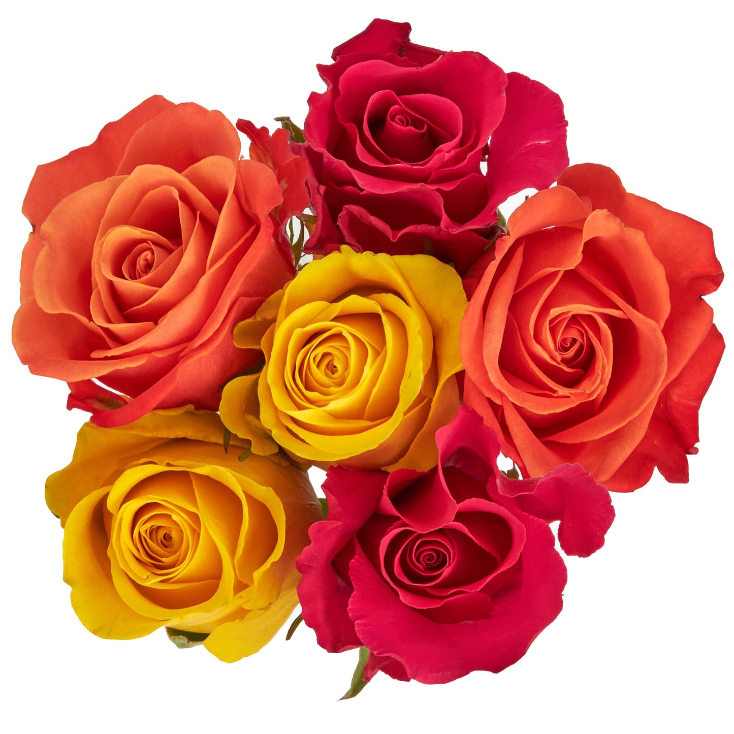 Fresh-Cut 6 Stem Roses Flower Bunch, 6 Stems, Colors Vary