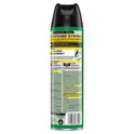 Raid House & Garden I, Kills Insects without Harming Plants, 11 oz