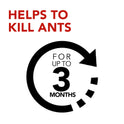 Raid Ant Baits Indoor Ant Killer, 0.12oz, 4 Count