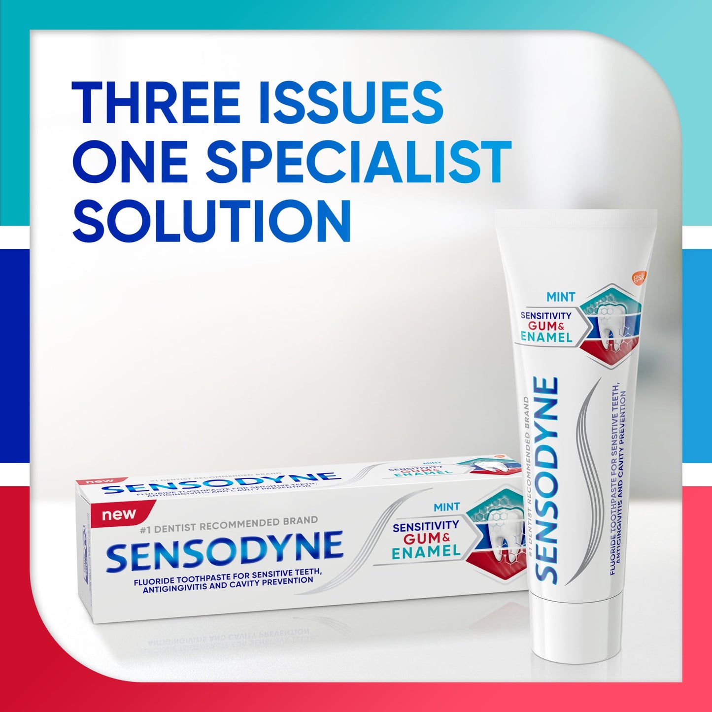 Sensodyne Enamel Fluoride & Gum Sensitive Toothpaste, Mint Flavor, 3.4 Oz