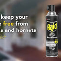 Raid Wasp & Hornet Killer 33, Outdoor Flying Insect Spray, 17.5 oz