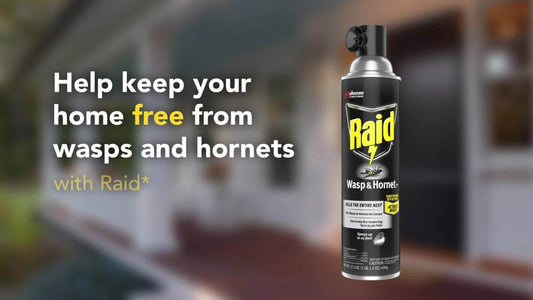 Raid Wasp & Hornet Killer 33, Outdoor Flying Insect Spray, 17.5 oz