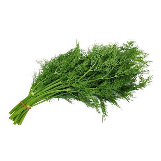 Dill Leaves