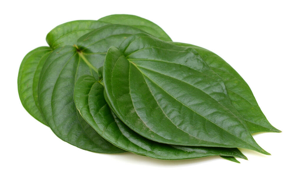 Paan Leaves