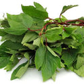 Gongura Leaves