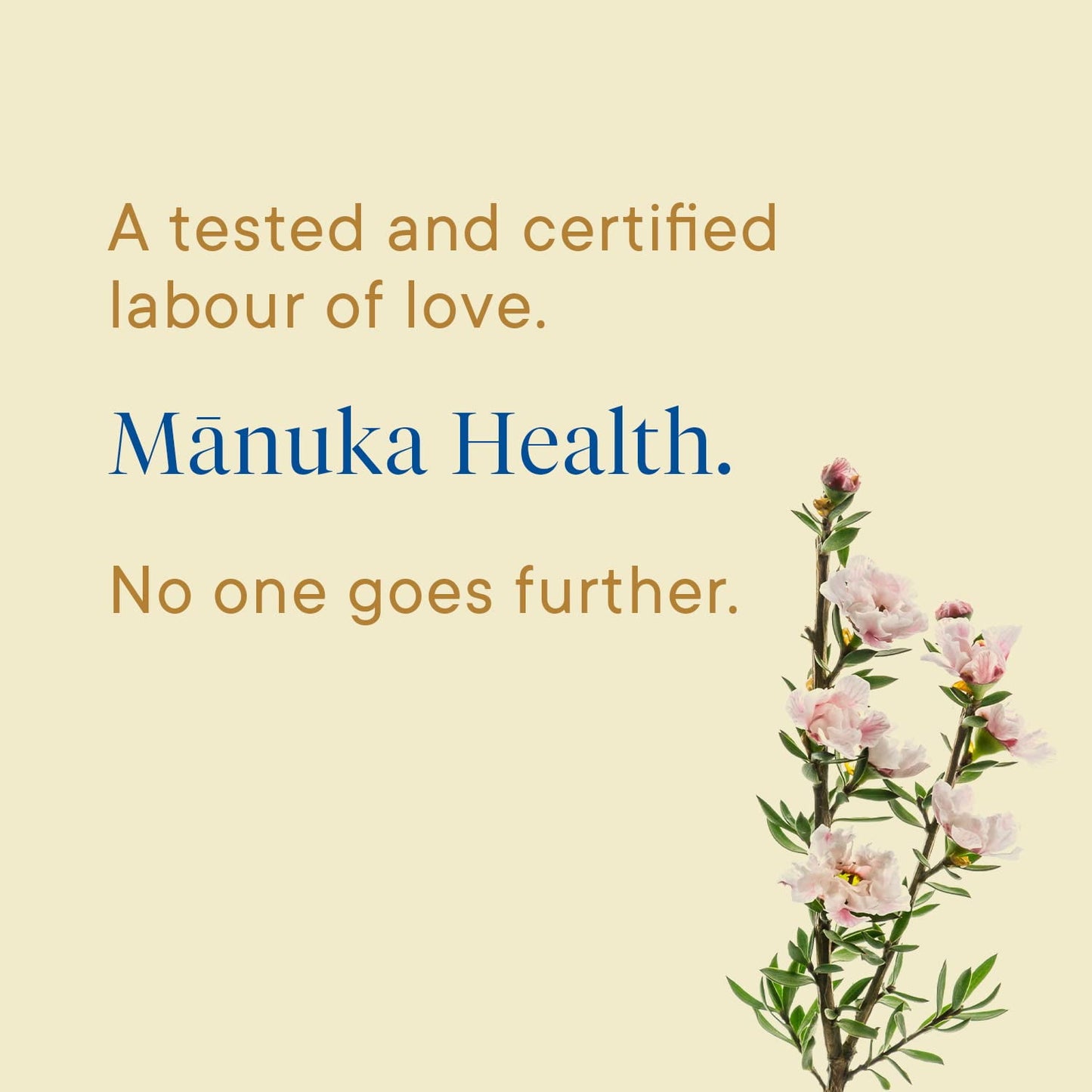 Manuka Health UMF 6+/MGO 115+ Manuka Honey 8.8oz, Superfood, %100 Raw Honey