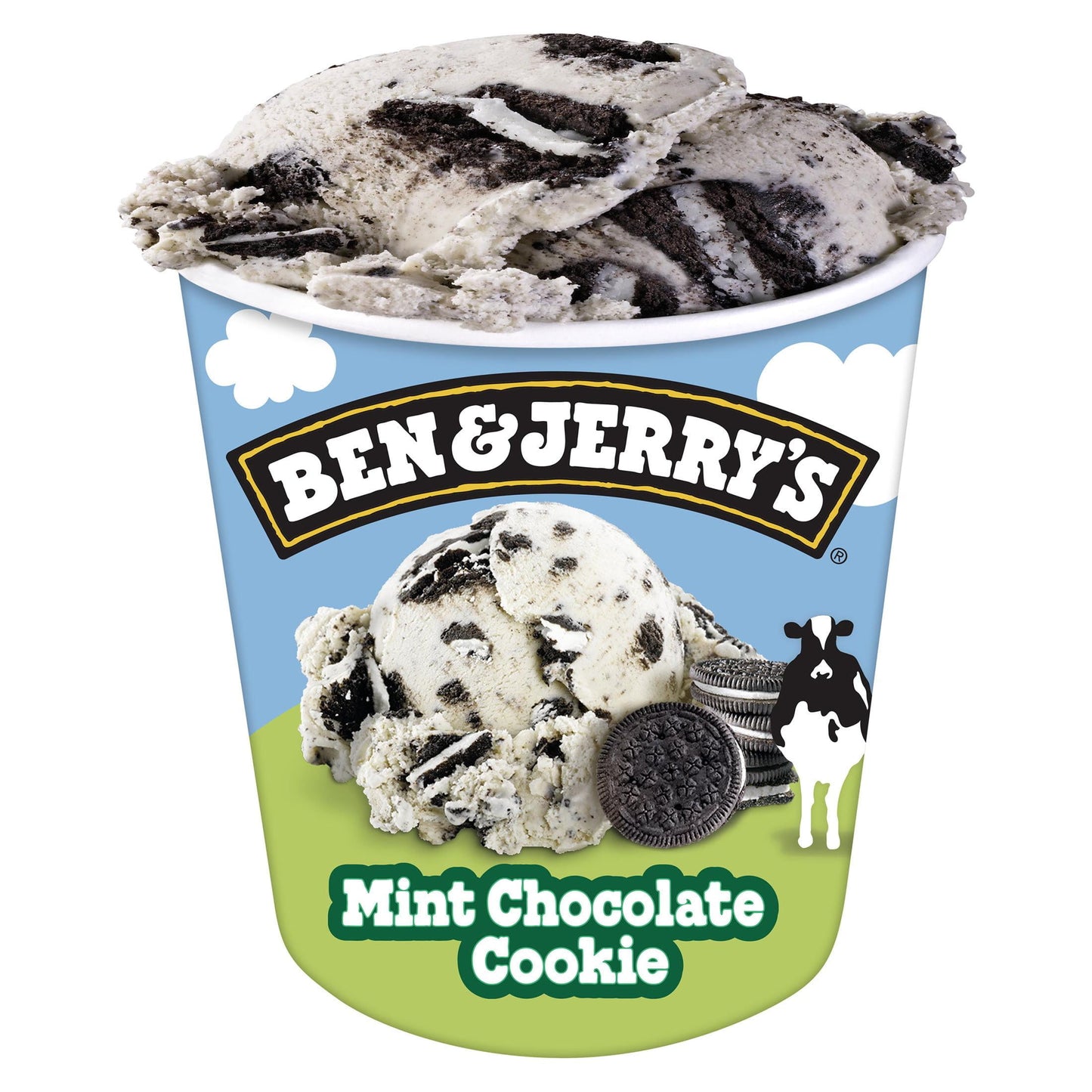 Ben & Jerry's Mint Chocolate Cookie Peppermint Ice Cream, 16 oz