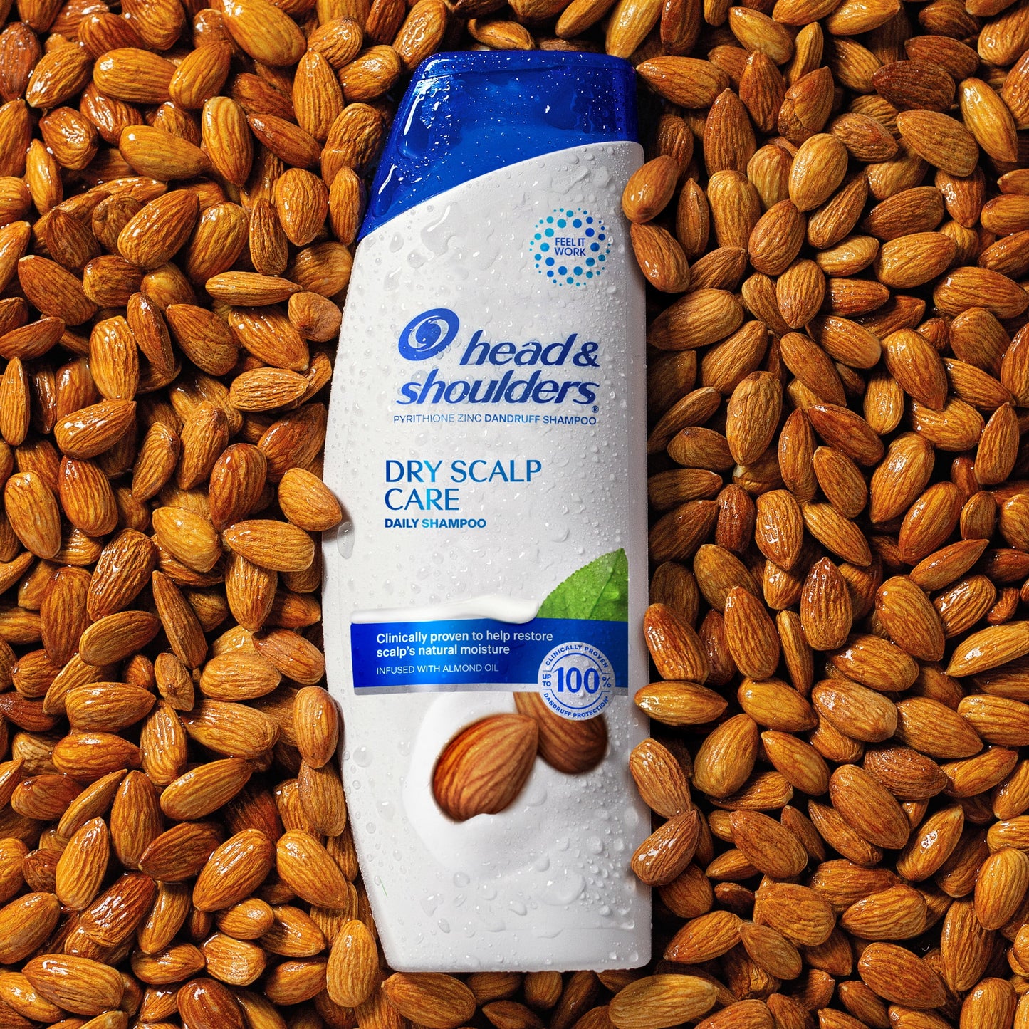 Head & Shoulders Paraben Free Dry Scalp Care Shampoo (12.5oz) and Conditioner (10.9 fl oz) Dual Pack
