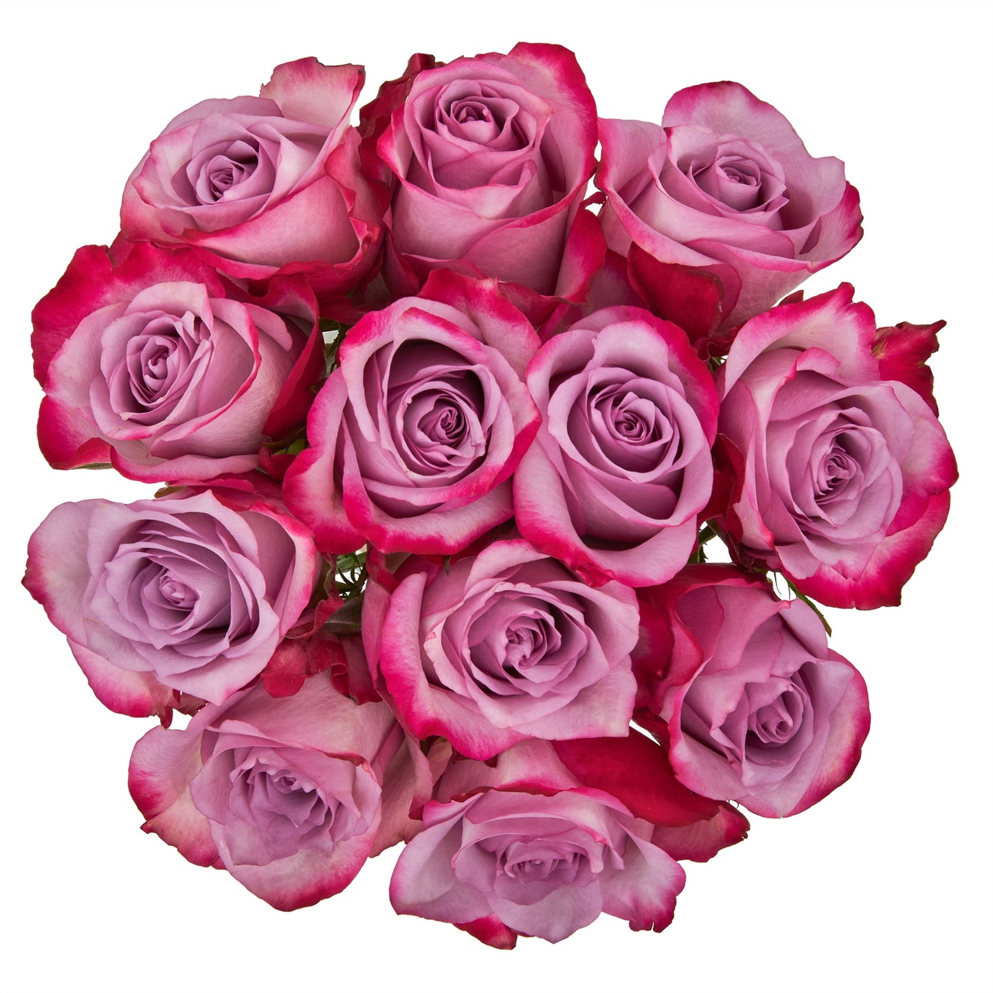 Fresh-Cut Solid Roses Flower Bunch, Minimum of 12 Stems, Colors Vary