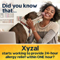 Xyzal Adult Allergy 24HR (80 Ct), Allergy Relief Tablets