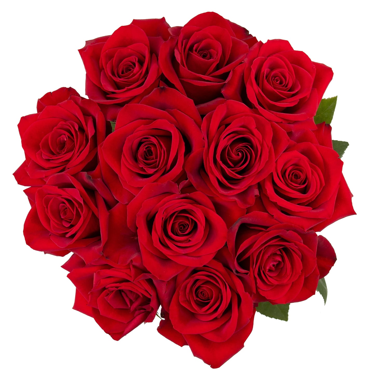 Fresh-Cut Solid Roses Flower Bunch, Minimum of 12 Stems, Colors Vary