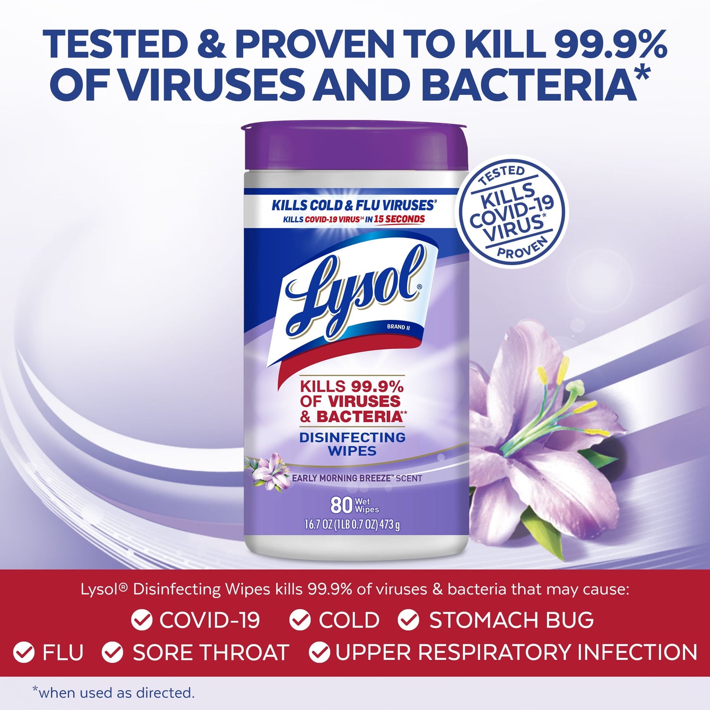 Lysol Disinfecting Wipes - Early Morning Breeze 6/80 ct.