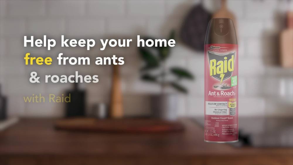 Raid Outdoor Defense System Ant and Roach Killer Spray Value Pack, 17.5 oz, 2 Count