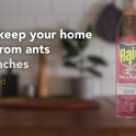 Raid Defend Indoor Defense System Roach and Ant Killer Spray Value Size, 20 oz