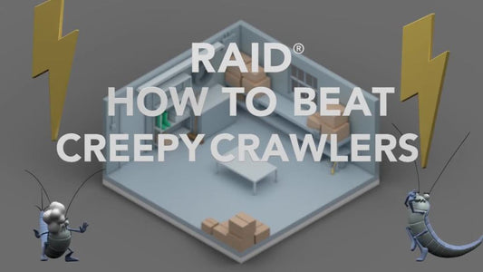 Raid® Concentrated Deep Reach Fogger for Fleas & Roaches, 1.5 fl oz, 4 Cans