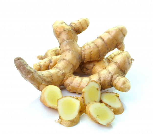 White Turmeric