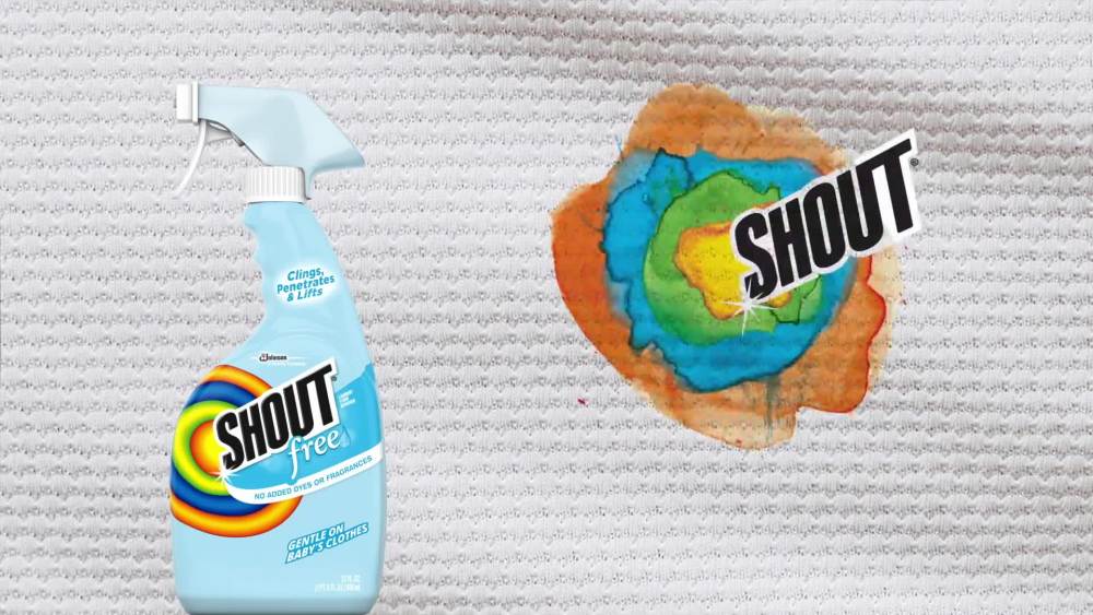 Shout Free, Laundry Stain Remover, 22 Ounce