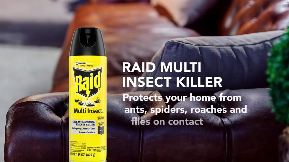 Raid Defense System Indoor and Outdoor Multi Insect Killer Spray, 15 oz