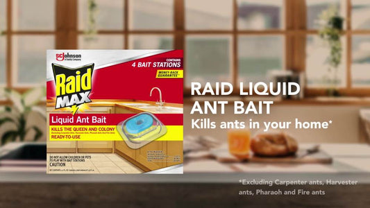 Raid Max Liquid Ant Bait, Outdoor and Indoor Ant Poison Bait Stations for Home, 8 Count
