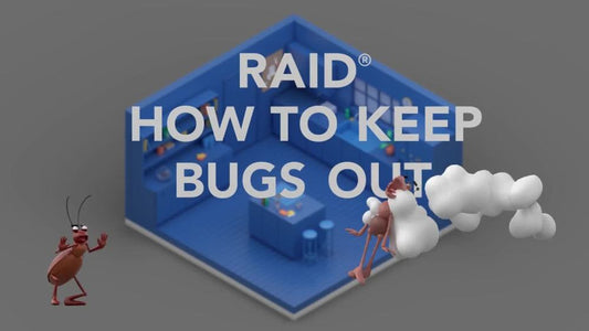 Raid®  Ant & Roach Killer 26, Fragrance-Free Bug Spray, 17.5 fl oz, 2 ct