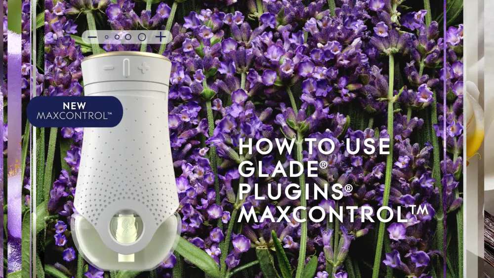 Glade PlugIns Refill 5 ct, Lavender & Vanilla, 3.35 FL. oz. Total, Scented Oil Air Freshener Infused with Essential Oils