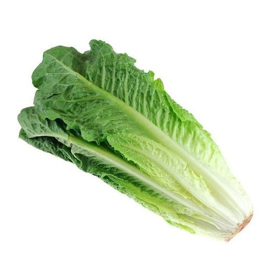 Fresh Romaine Lettuce Hearts 3 Count, Each