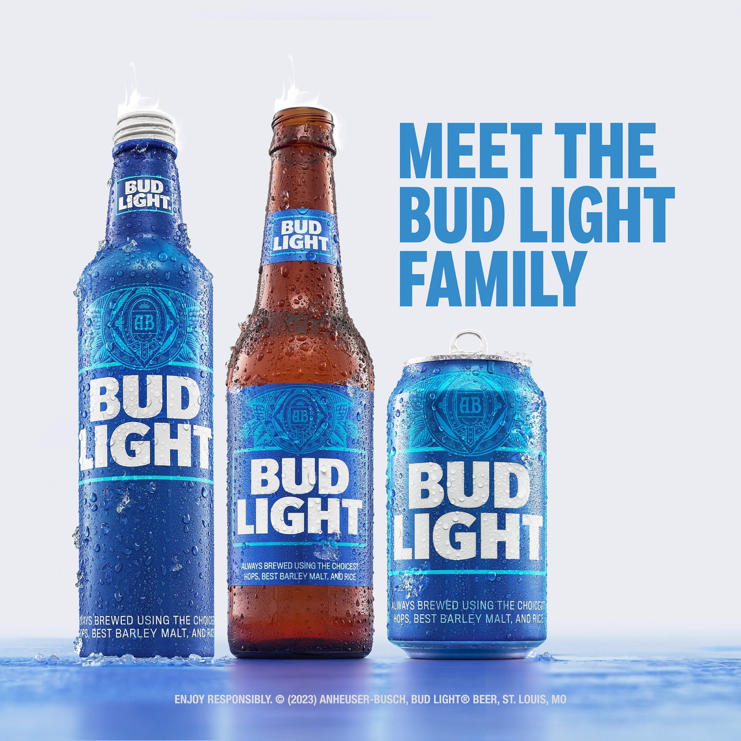 Bud Light Beer, 24 Pack Beer, 12 fl oz Glass Bottles, 4.2% ABV, Domestic Lager
